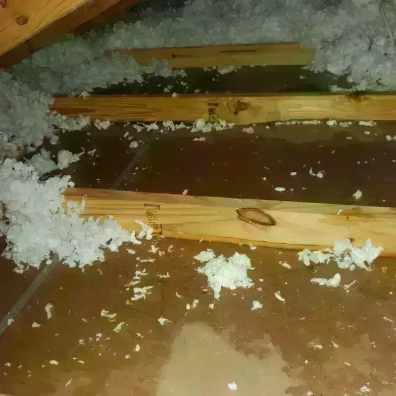 Attic Water Damage in Angola on the Lake, NY